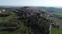 I pennelli di Morbelli